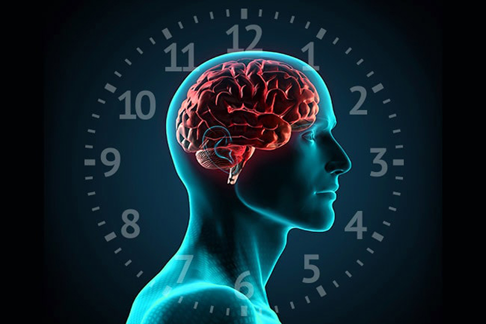 Targeting Brain Cancer's Body Clock