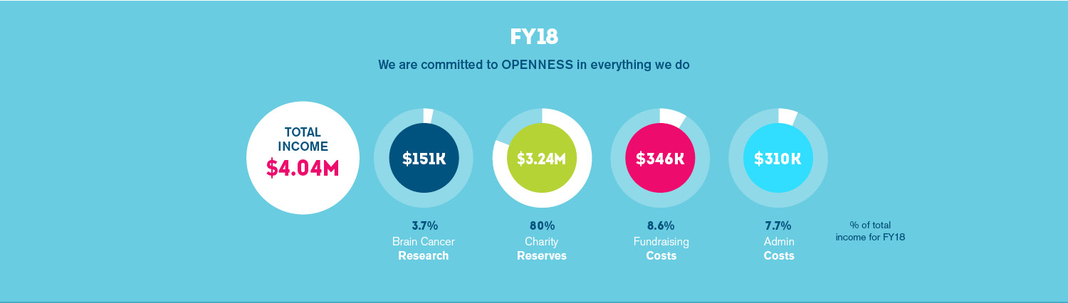 Our financials « Charlie Teo Foundation