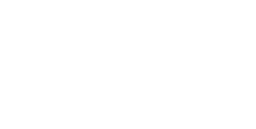 Charlie Teo Foundation